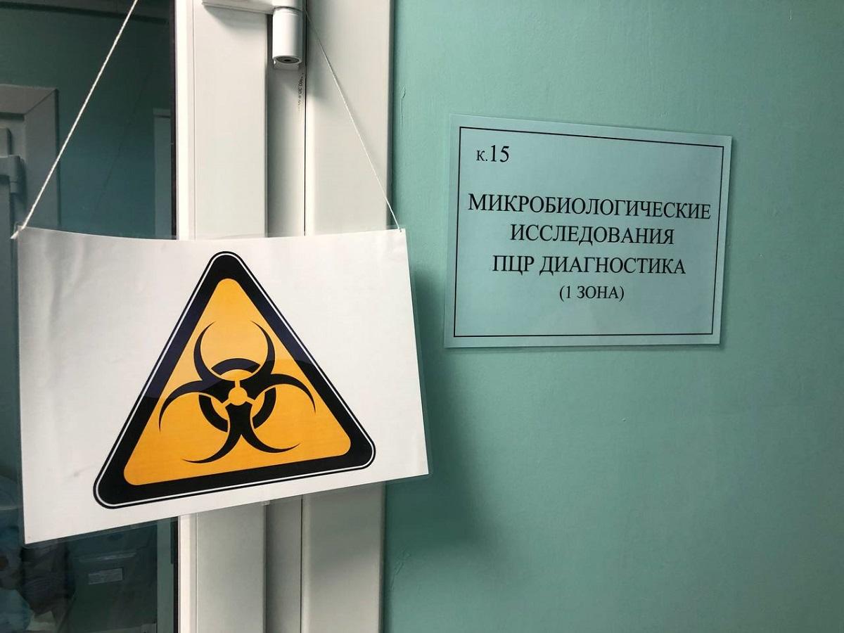 Эксперты раскрыли, хватит ли вакцины от бешенства на всех в Новосибирской области