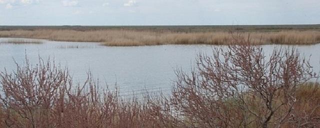 Озеро Сарпа в Калмыкии расчищают по требованию прокуратуры