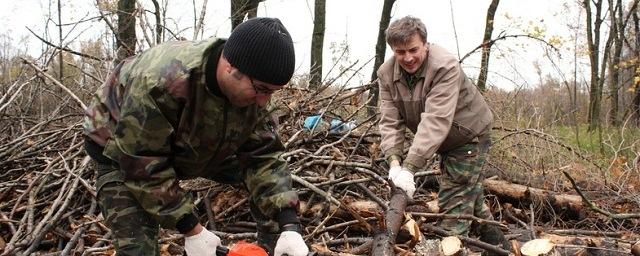 В Хабаровском крае заключено более 1000 договоров на заготовку дров