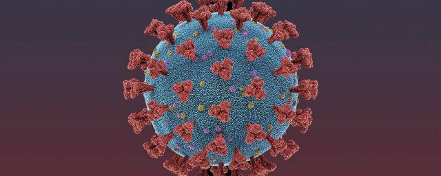 Еще 99 человек на Кубани заболели коронавирусом