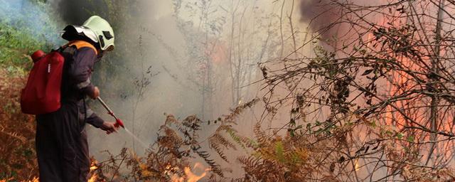 В Акшинском районе Забайкалья из-за крупного лесного пожара ввели режим ЧС