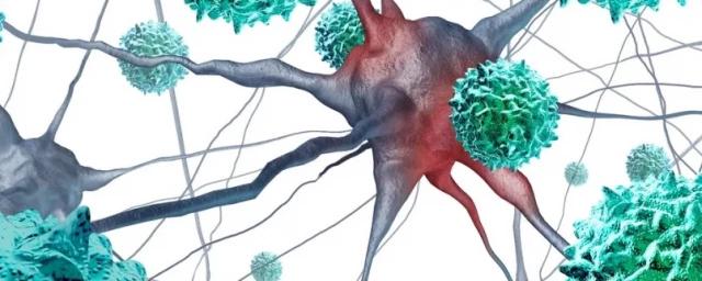 Иммунолог Болибок: Массовое ослабление иммунитета повлияло на возвращение метапневмовируса