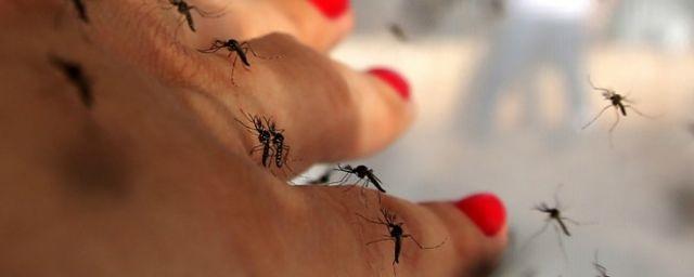 В Воронеже жителей дома терроризируют комары, а УК бездействует