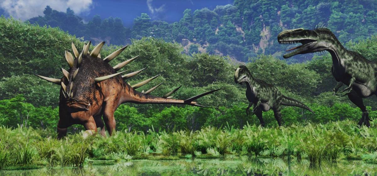 Животный мир Земли не изменился со времен динозавров