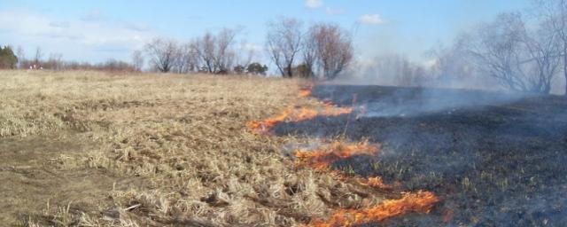 В Бурятии фермер устроил степной пожар, который тушили 7 часов