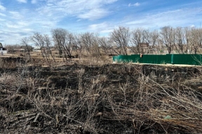 В Перми произошло первое возгорание сухой травы с начала года