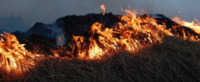 В Хабаровском крае увеличат число противопожарных патрулей в лесах