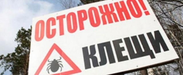 Жители Омска сообщили о появлении первых клещей