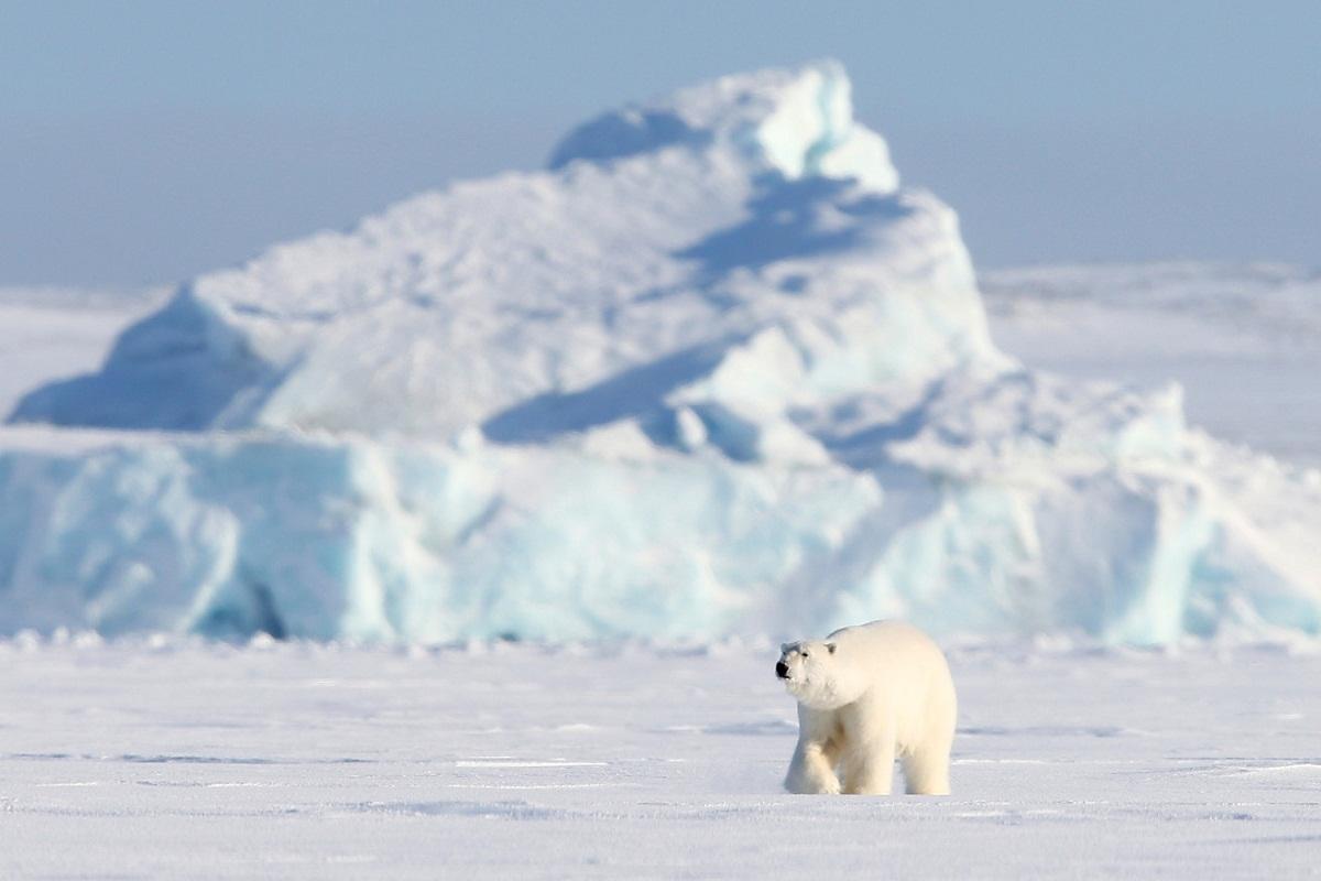 Климатологи предупредили, что переход к безледной Арктике наступит на 10 лет раньше
