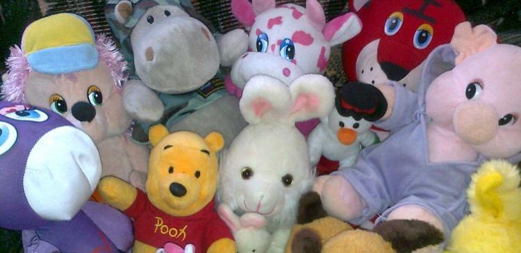 В Новосибирской области бомж-рецидивист украл коллекцию мягких игрушек