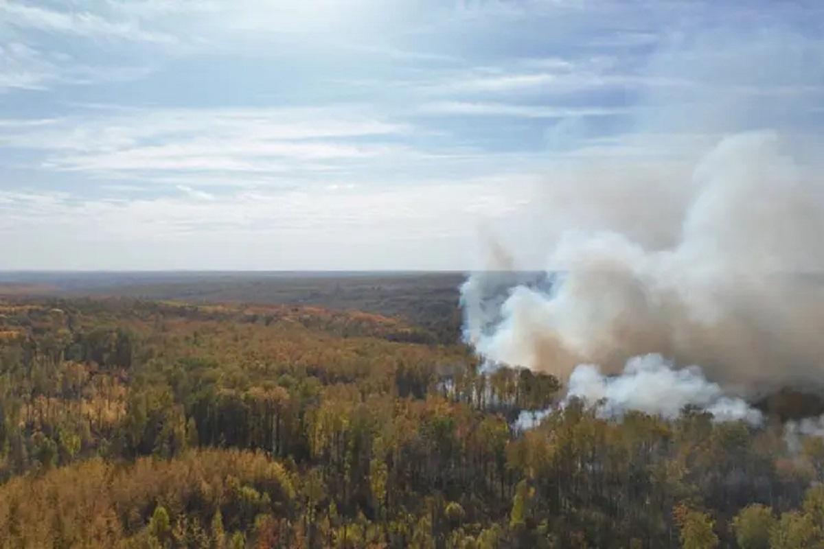 Пожароопасный сезон официально завершился в лесах Мордовии