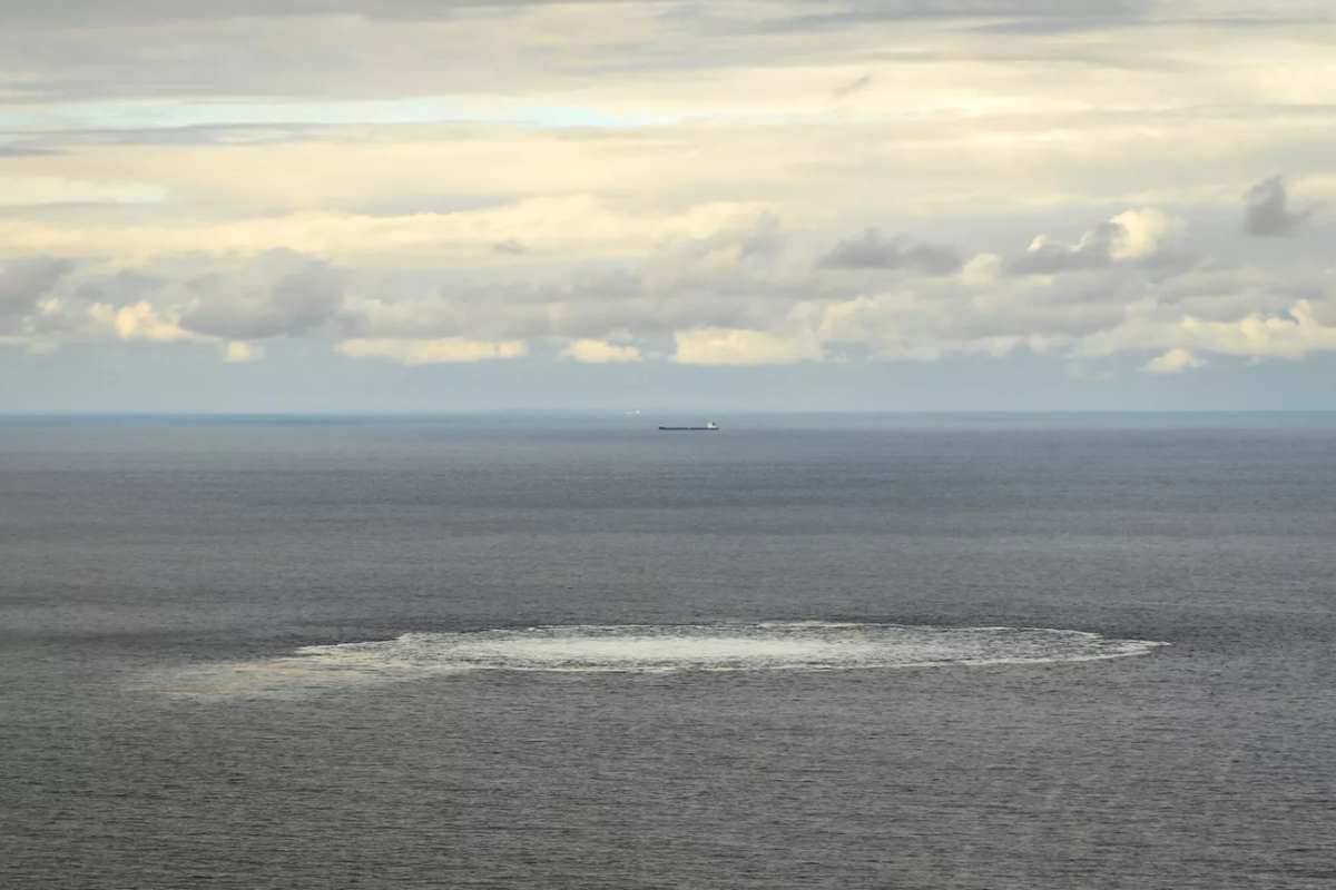 Американский инвестор заявил, что в Европе изменят своё отношение к поставкам российского газа