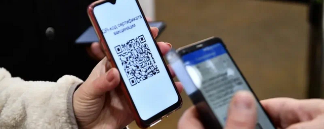 St. Petersburg authorities do not intend to introduce QR codes in public transport