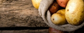 Аграрии России собрали уже 4 млн тонн картофеля