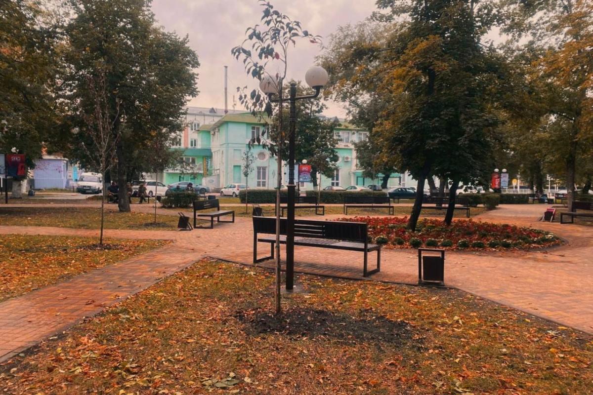 В Черкесске высадили более ста различных пород деревьев с начала года