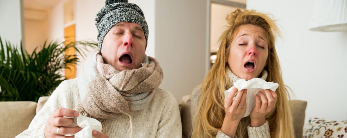 Сезон гриппа и ОРВИ в Новосибирской области продержится еще 4-6 недель