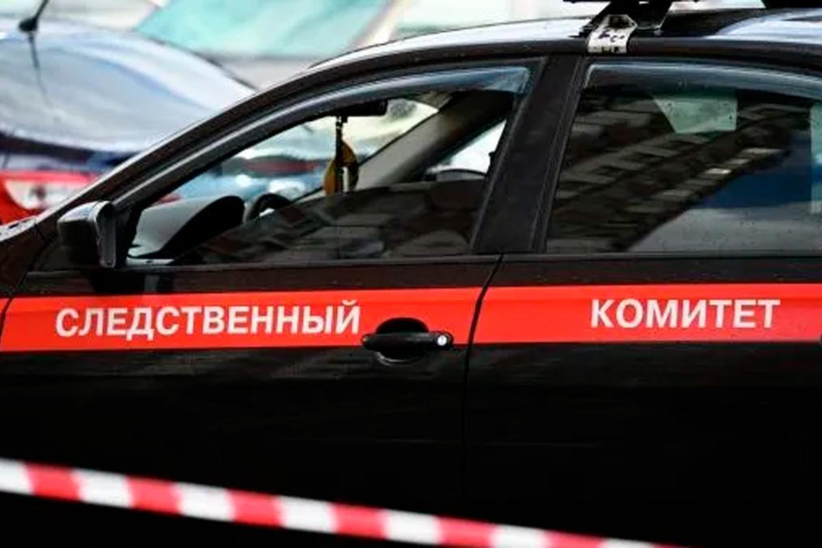 Председатель «Зова народа» потребовал наказания для блогерши за призывы к смерти солдат