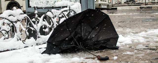 На выходные синоптики прогнозируют сильный ветер и гололед в Белгороде