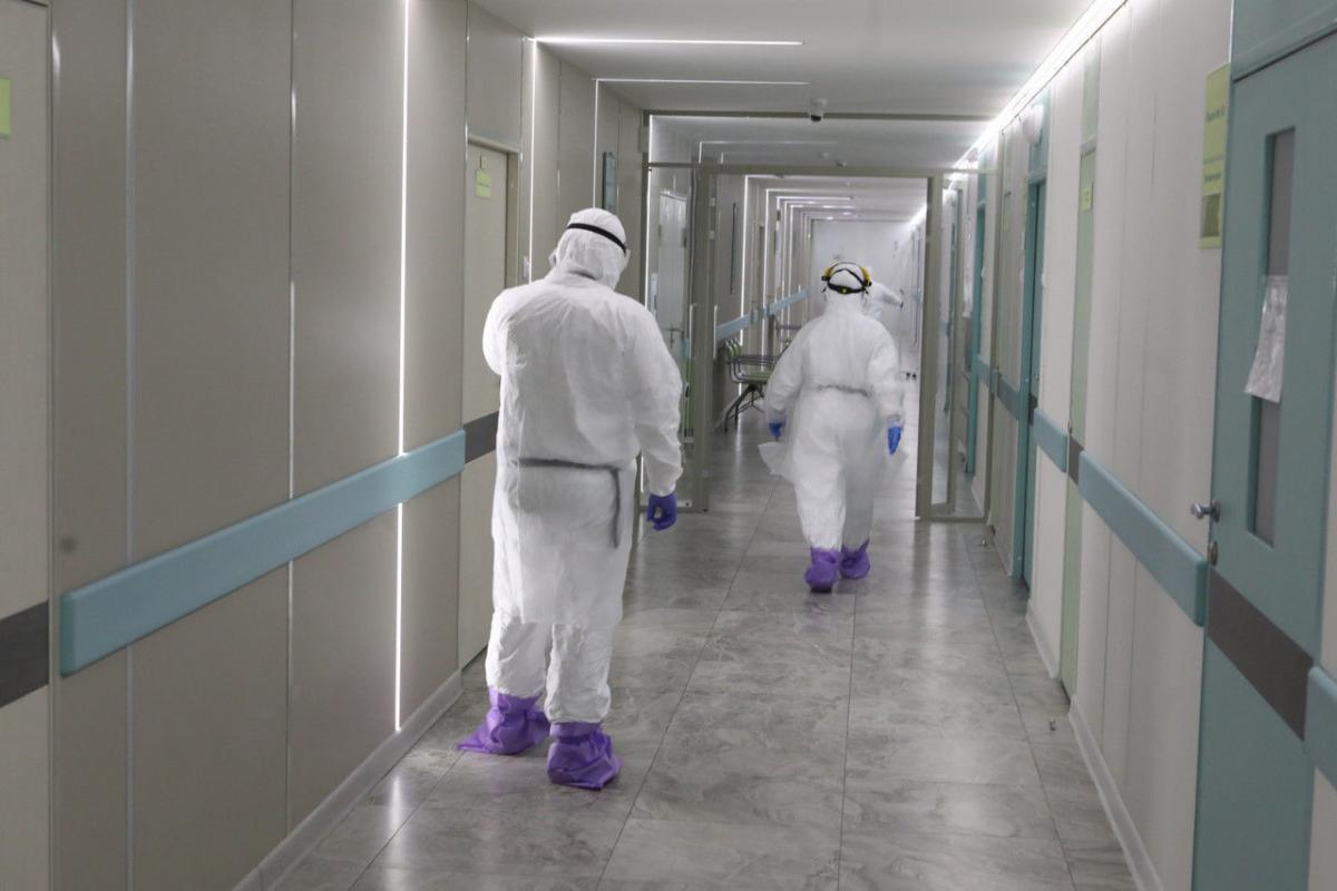 В Петербурге ученые изучат людей, которые не заражаются коронавирусом