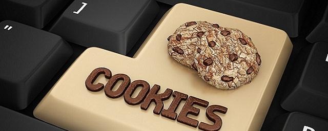 Эксперт по кибербезопасности Коростелев рассказал, чем опасны файлы cookie