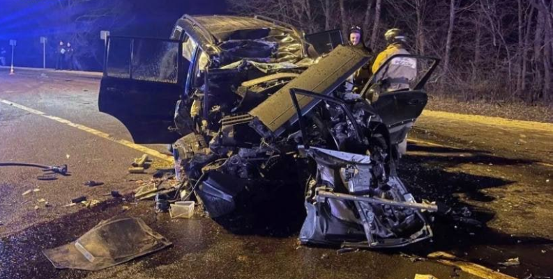 В ДТП под Орлом погибли Светлана Левина, эксперт шоу «Андрей Малахов. Прямой эфир» и ее муж  Алексей Левин