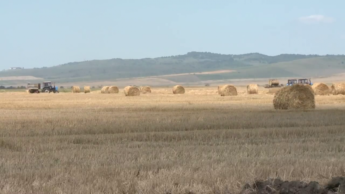 «Важно, чтобы люди были обеспечены всем необходимым для успешного урожая»: Махмуд-Али Калиматов оценил ход уборочной кампании в Малгобекском районе Ингушетии