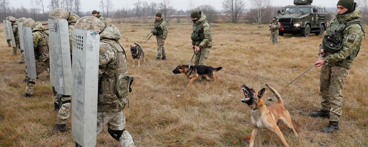 Российская ДРГ ликвидировала группу бойцов ВСУ и взяла в плен украинского пограничника