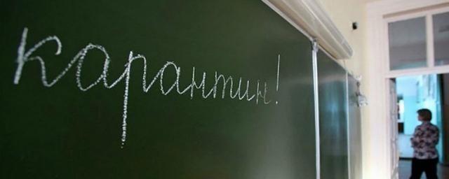 В Саратовской области на карантин по гриппу закрыты три школы