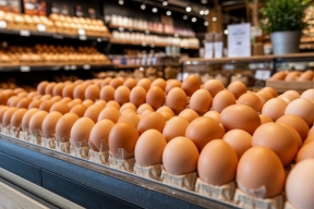 Низкие цены на яйца могут означать избавление фабрик от несушек
