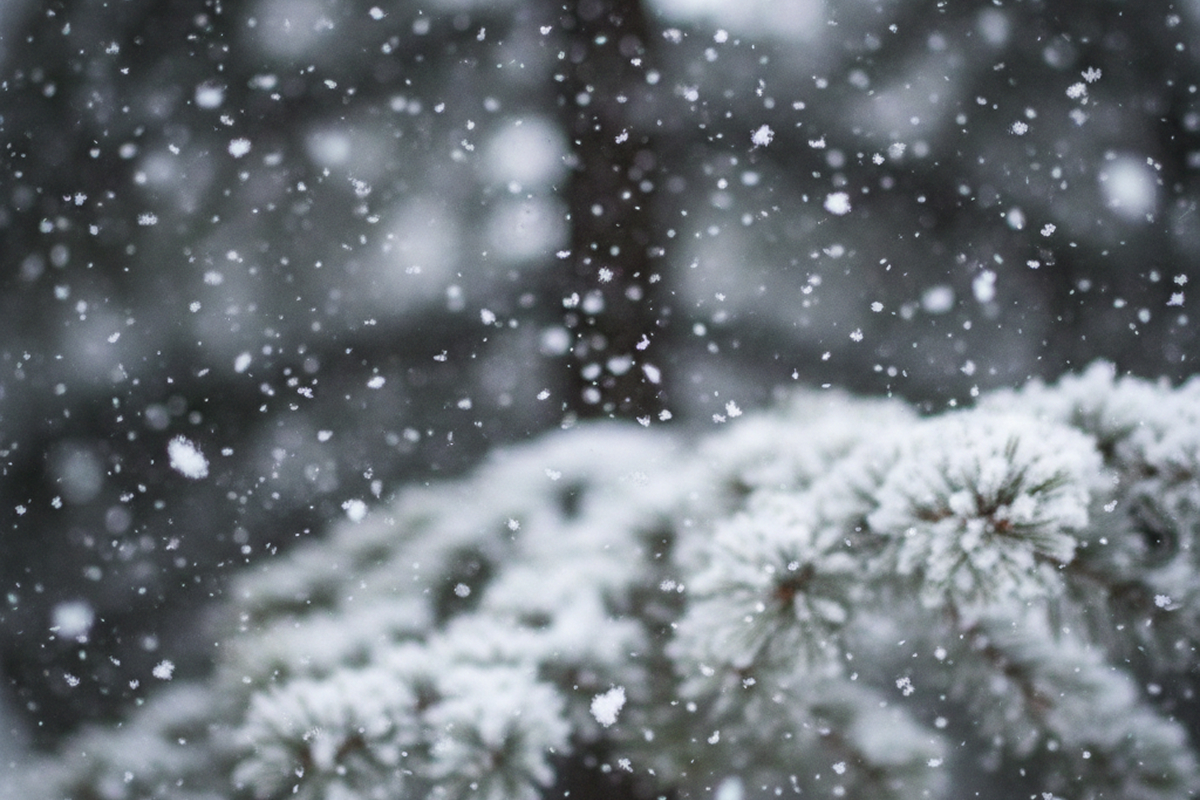 ГИБДД напомнила нижегородцам о ПДД на фоне дождя и мокрого снега
