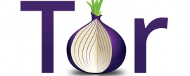 Районный суд Саратова вновь запретил в России анонимный браузер Tor