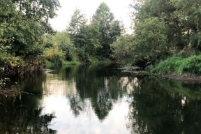 Заповедный порядок: в Тамбовской области ввели новые правила экотуризма