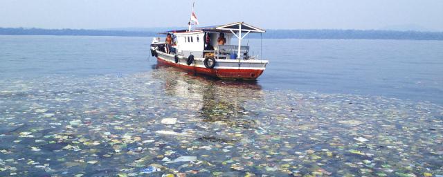 Пластик оказался опасен для цианобактерий в океане