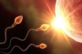 21 раз в месяц: ученые назвали частоту эякуляции, которая на 20% снижает риск рака простаты