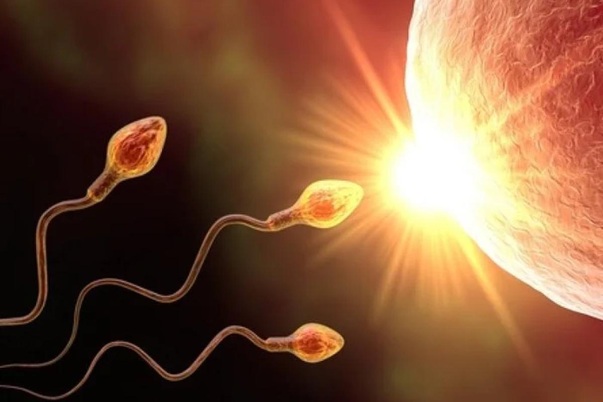 21 раз в месяц: ученые назвали частоту эякуляции, которая на 20% снижает риск рака простаты