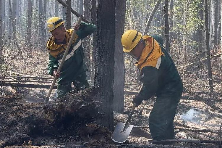 В Бурятии увеличилась площадь лесных пожаров
