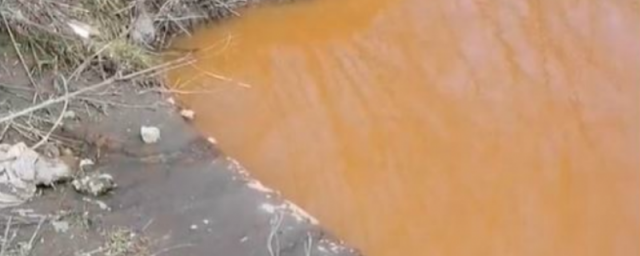 Чкаловский завод в Новосибирске считают виновным в загрязнении реки Каменка