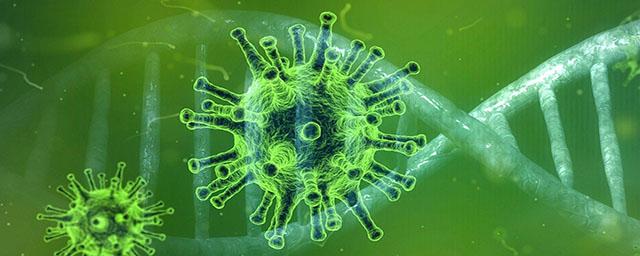 Роспотребнадзор рассказал о создании Национальной базы данных о мутациях коронавируса