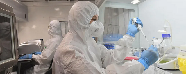 В Петербурге выявлен новый штамм коронавируса AY.4.2