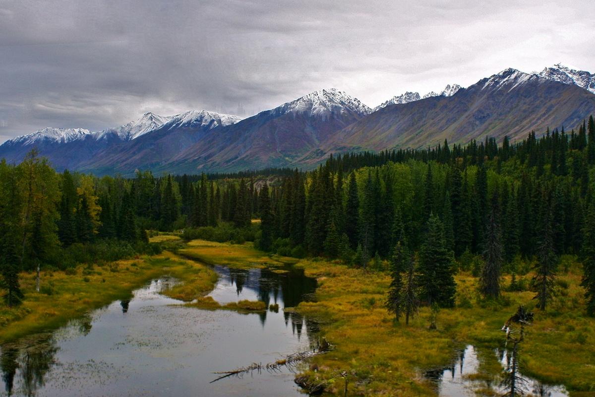 Тропики высохнут, а Сибирь зазеленеет: Учёные рассказали о последствиях глобального потепления