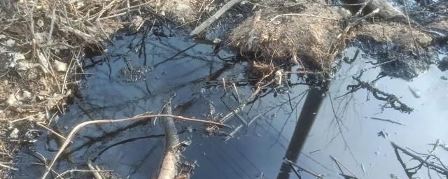 На берегу Оби под Новосибирском обнаружены масляные пятна