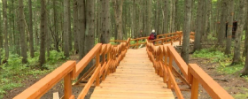 На Сахалине в ноябре откроют янтарный парк
