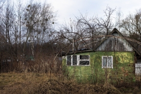 В правительстве рассказали, за что земельные участки россиян могут признать неиспользуемыми