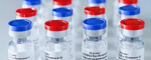 В Ростовской области рассказали о вакцинации от коронавируса