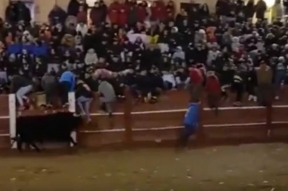 На корриде в Испании бык насмерть забодал человека впервые за 40 лет