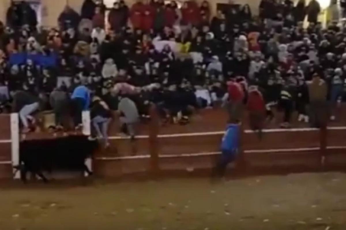 На корриде в Испании бык насмерть забодал человека впервые за 40 лет