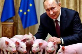 Западные СМИ не могут правильно перевести слово «подсвинки»