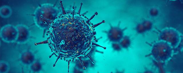 Ученые развеяли миф о мутациях коронавируса