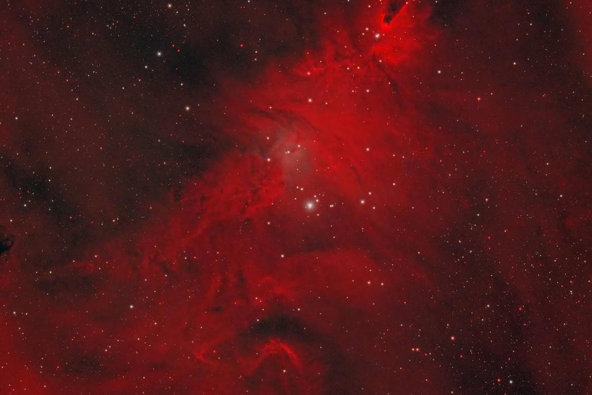 «Роскосмос» запечатлел космическую «ёлку»