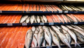 Высокая стоимость услуг посредников является препятствием для снижения цены на рыбу